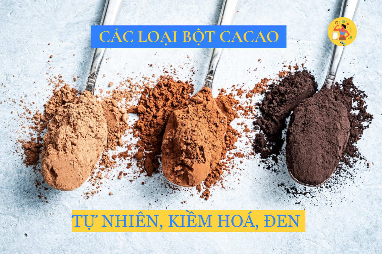 Các loại bột cacao: Giải thích, hướng dẫn chọn đúng loại