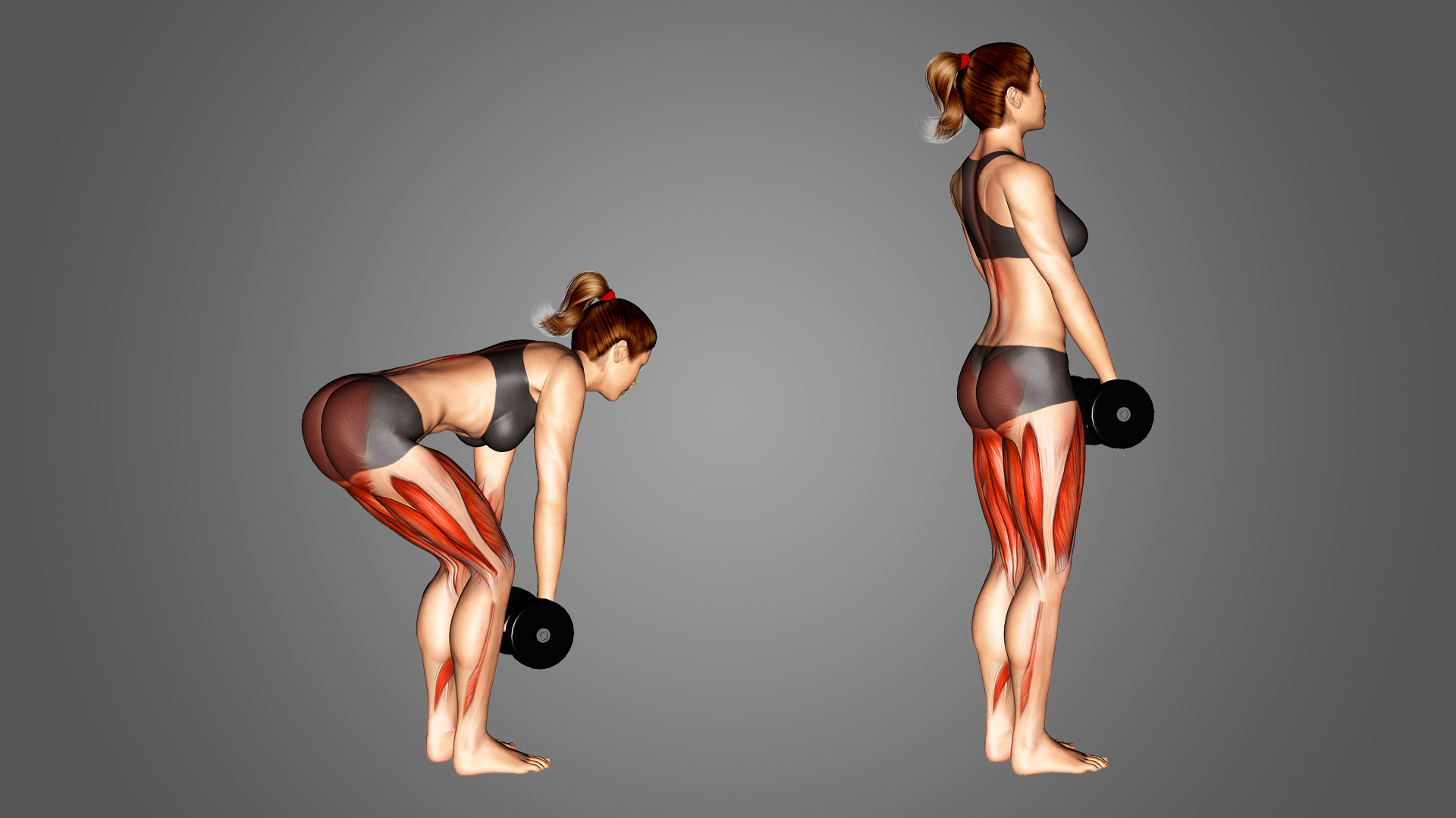 Hướng dẫn Dumbbell Romanian Deadlift | Bài tập Hip Hinge